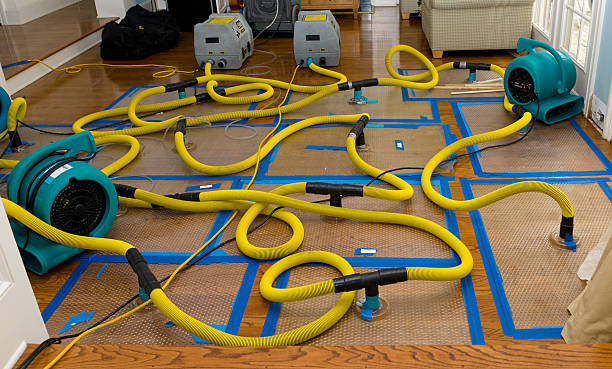 Professional Flood Damage Restoration technician working in House Springs, MO